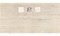 Polcolorit Tivoli beige insert decor 60x30