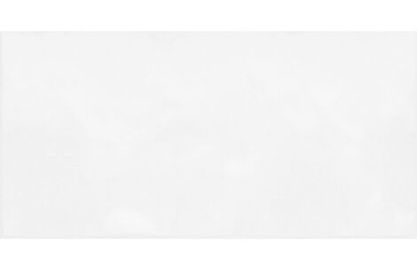 Alma Ceramica Monocolor TWU09MNR030 50х24.9