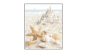 Azori Caliza Decor beige Mare 3 20,1x50,5