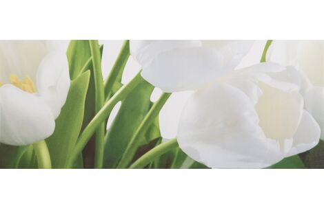 Атем Yalta Tulip 2W белый 50x20