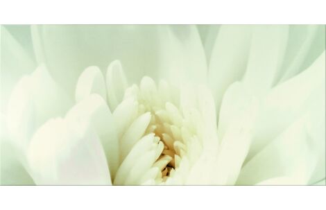 Opoczno (Опочно) Diago Inserto Flower C 60x29,7 OD703-003