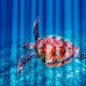 Шторка для ванной комнаты Ridder Sea World 42183000